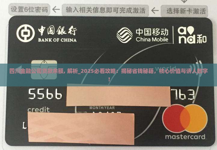 四川金融公司贷款余额
