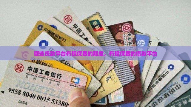 哪些贷款平台有担保费的