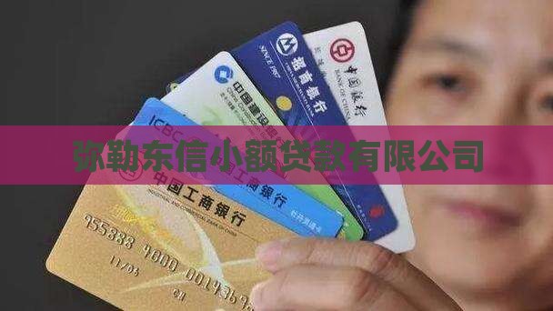 弥勒东信小额贷款