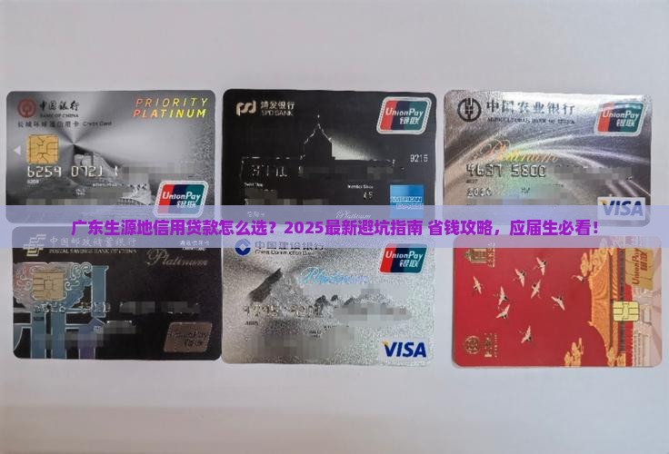 广东生源地信用贷款