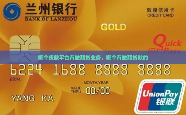 哪个贷款平台有微额贷