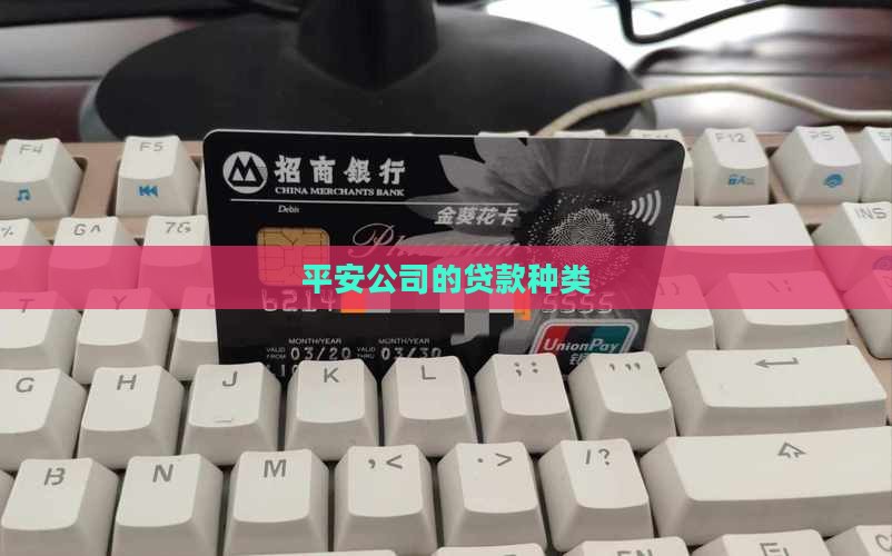 平安公司的贷款种类