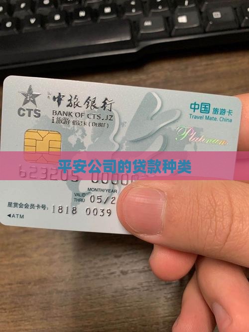 平安公司的贷款种类