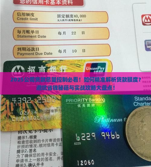 对公司的贷款总量控制