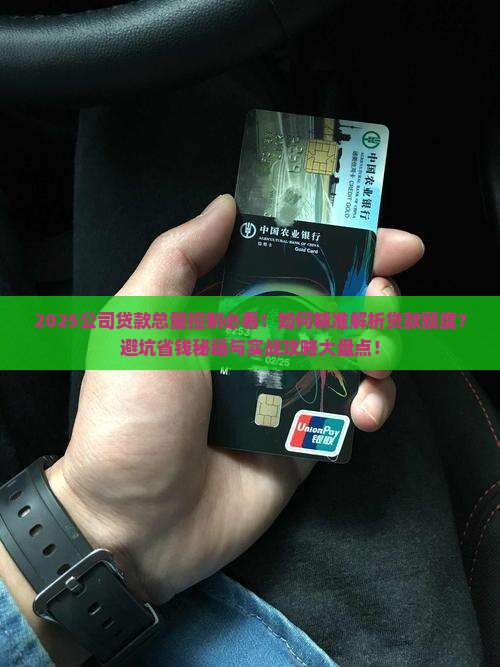 对公司的贷款总量控制
