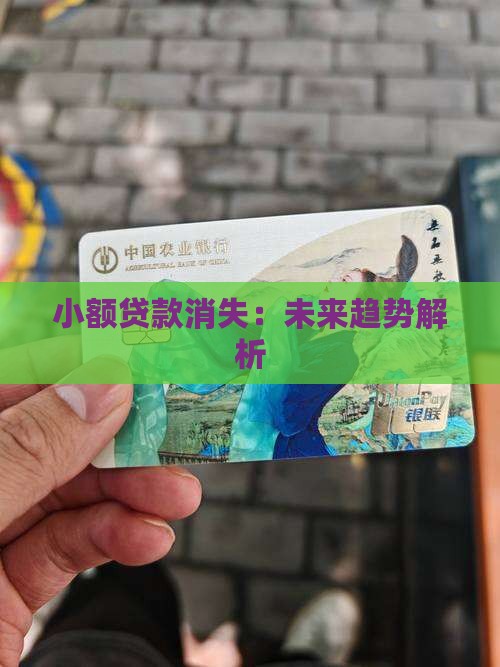 小额贷款会消失
