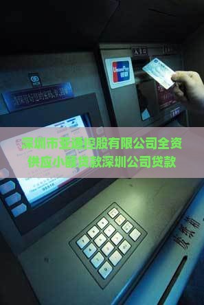 商宇小额贷款
