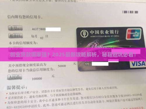 创业贷什么银行贷款