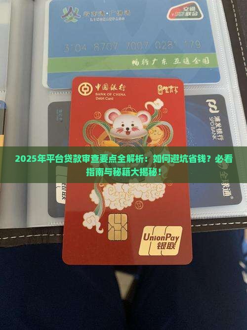 平台贷款的审查要点包括