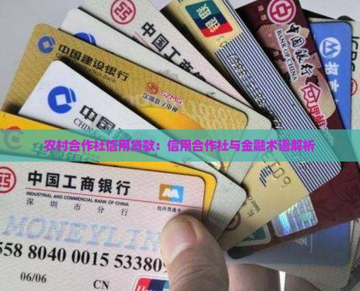 农村合作社信用贷款