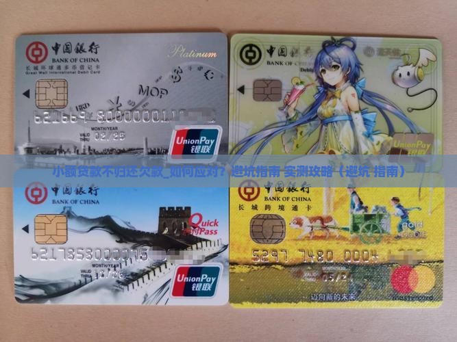 小额贷款不归还欠款