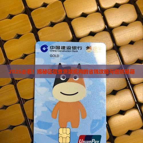 如何通过征信查贷款机构