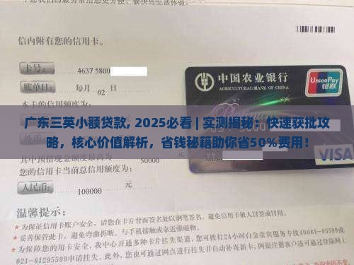 广东三英小额贷款