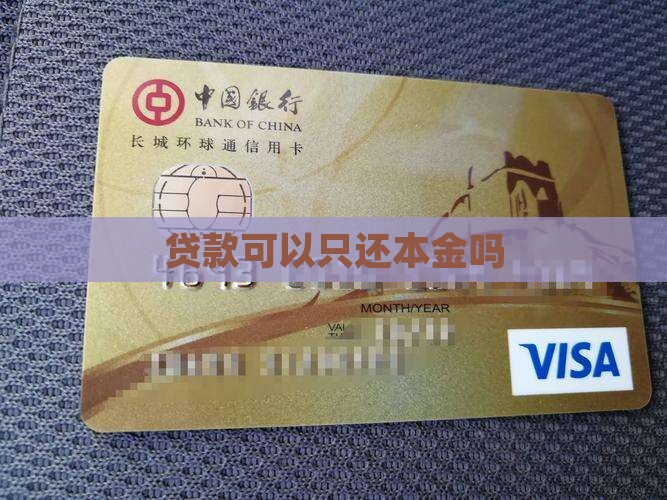小额贷款能只还本金吗