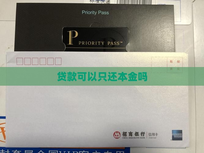 小额贷款能只还本金吗
