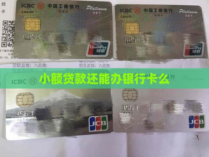 小额贷款还能办银行卡么