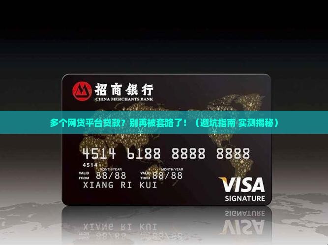 多个网贷平台贷款