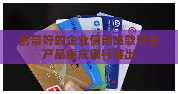前景好的企业信用贷款
