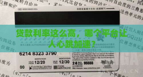 哪个贷款平台利率高