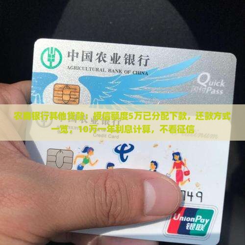 农商银行其他贷款