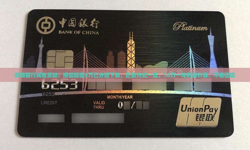 农商银行其他贷款