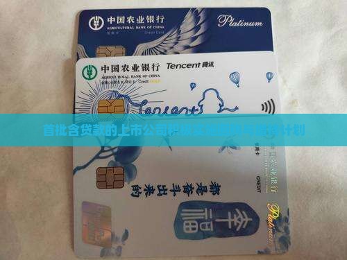 含贷款上市公司