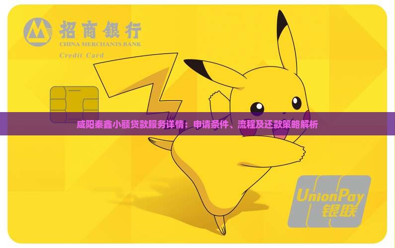咸阳秦鑫小额贷款