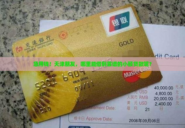 天津市有小额贷款吗