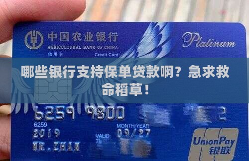 哪些银行保单贷款