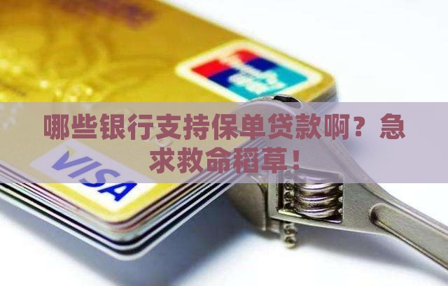 哪些银行保单贷款