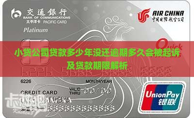 小贷公司贷款多少年没还