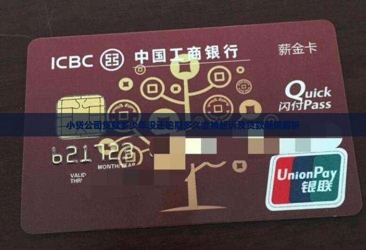 小贷公司贷款多少年没还