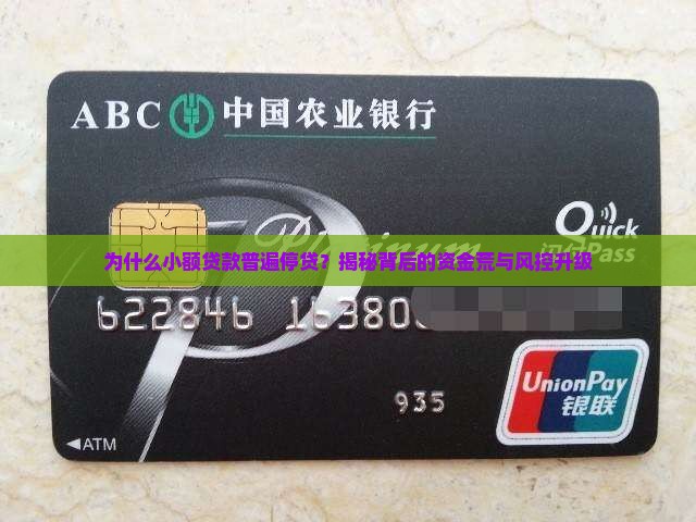 小额贷款普遍停贷的原因