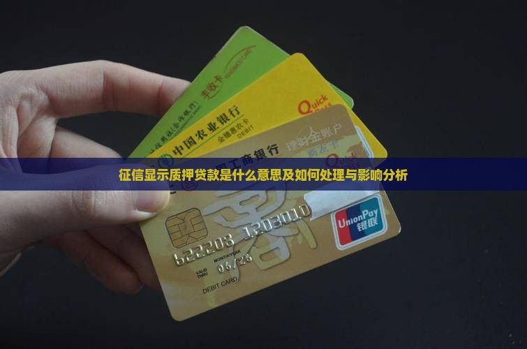 征信显示质押贷款