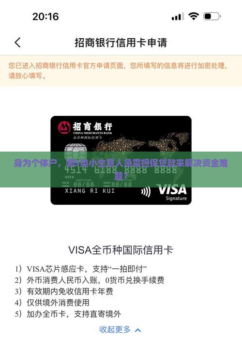 哪些公司需要担保贷款