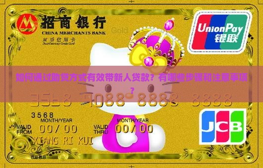助贷怎么带新人贷款