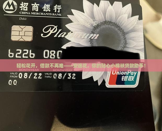 安逸花贷款网