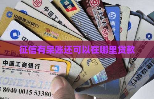 征信呆账了在哪能贷款