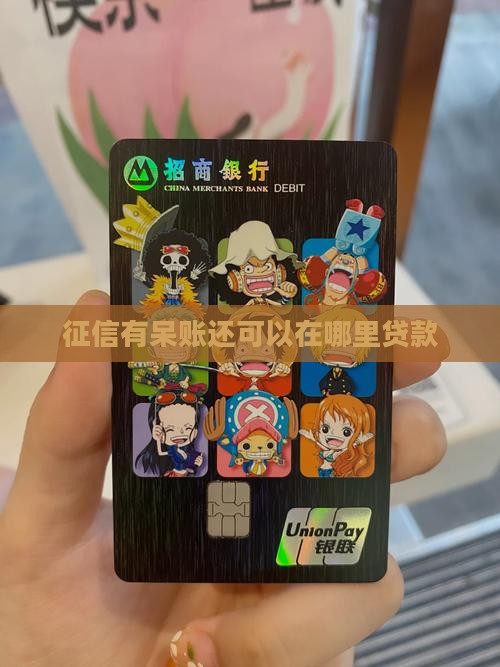 征信呆账了在哪能贷款