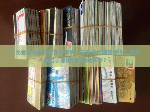 广元金穗小额贷款