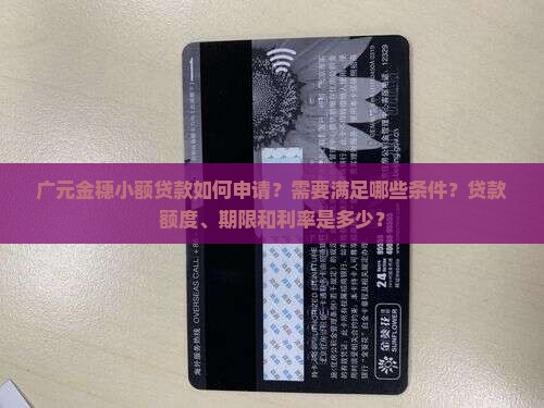 广元金穗小额贷款