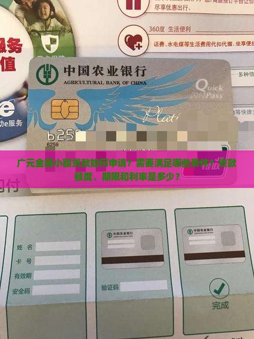 广元金穗小额贷款