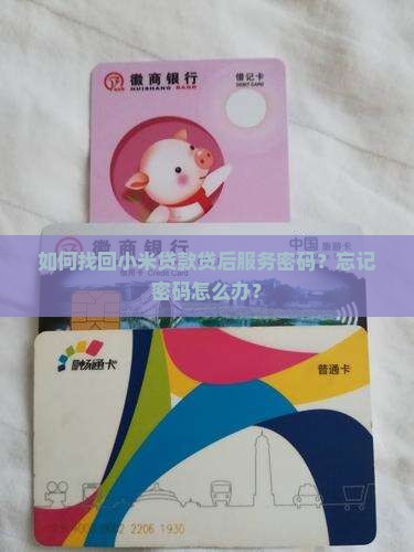 小米贷款贷后服务密码