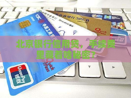 北京银行信用贷款手续费