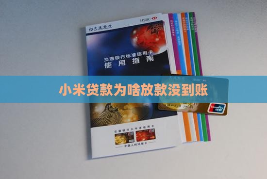 小米贷款为啥借钱没到账