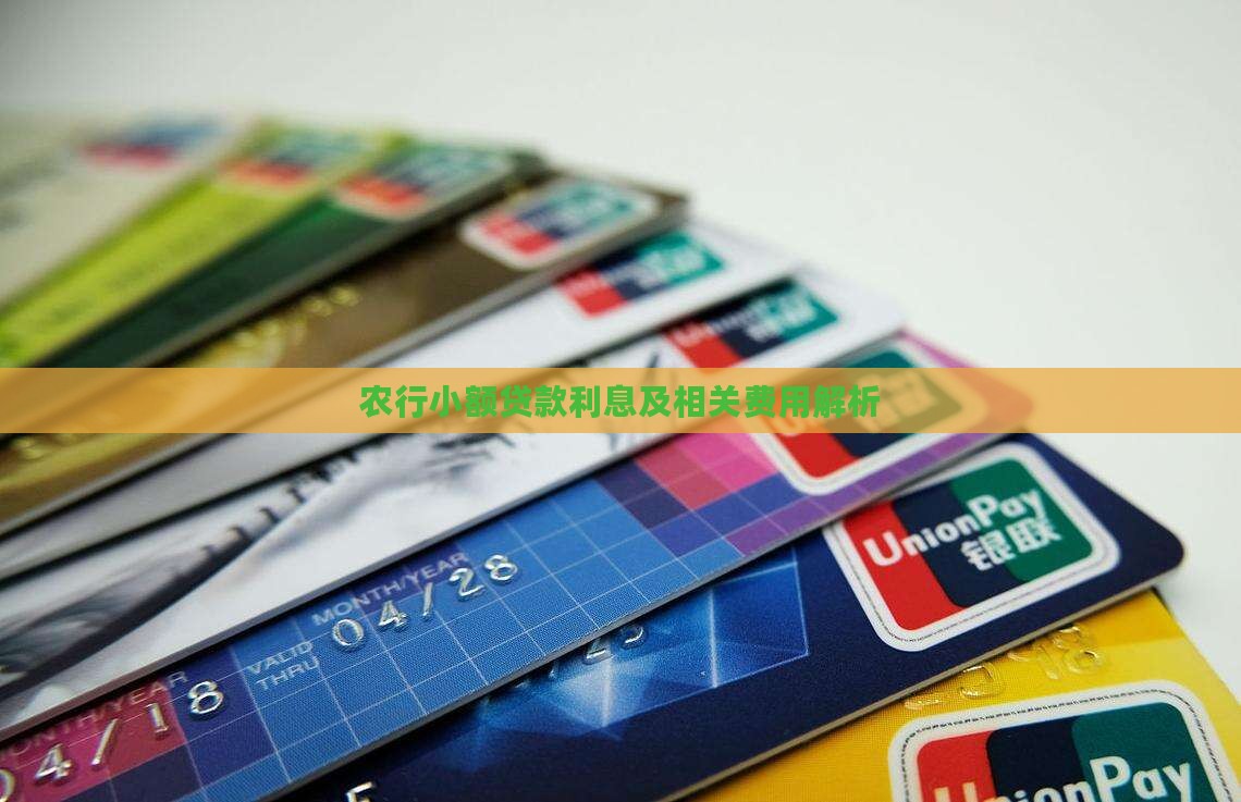 农行小额贷款有什么费用
