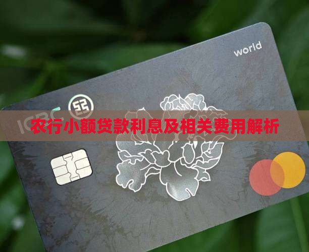 农行小额贷款有什么费用