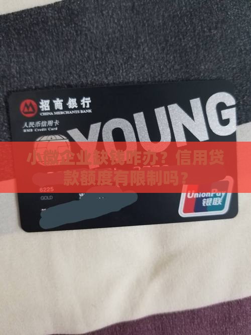 小微企业信用贷款限额