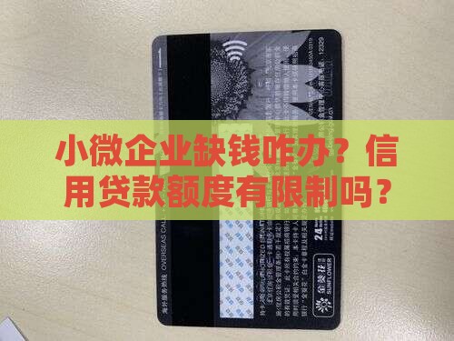 小微企业信用贷款限额