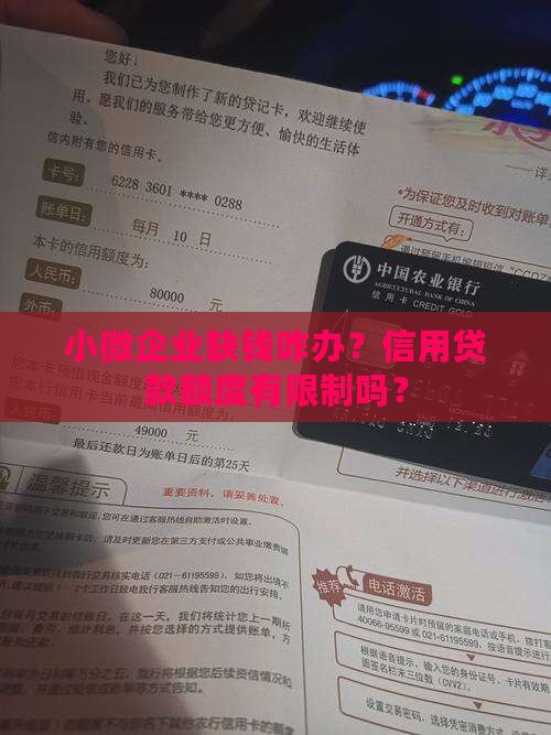 小微企业信用贷款限额